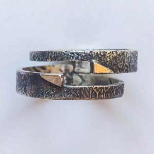Complementary Rings