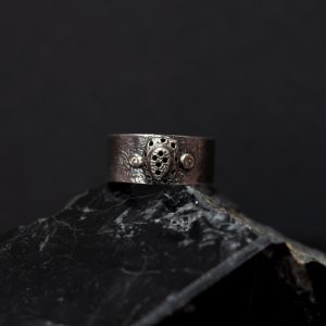 Anillo Escudo