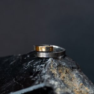 Anillo Placa de Oro