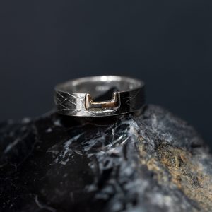 Anillo Puente