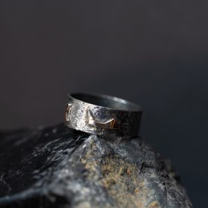 Anillo Piquete Espacial